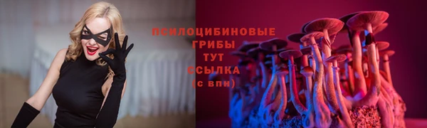 стафф Мегион